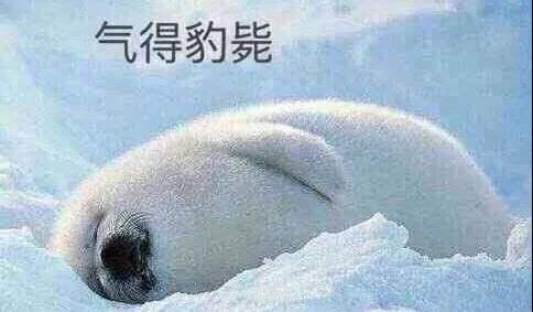 原來你是這樣的潛水員妹子！